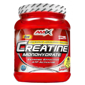 Amix Creatine monohydrate - 1000 г Фото №1